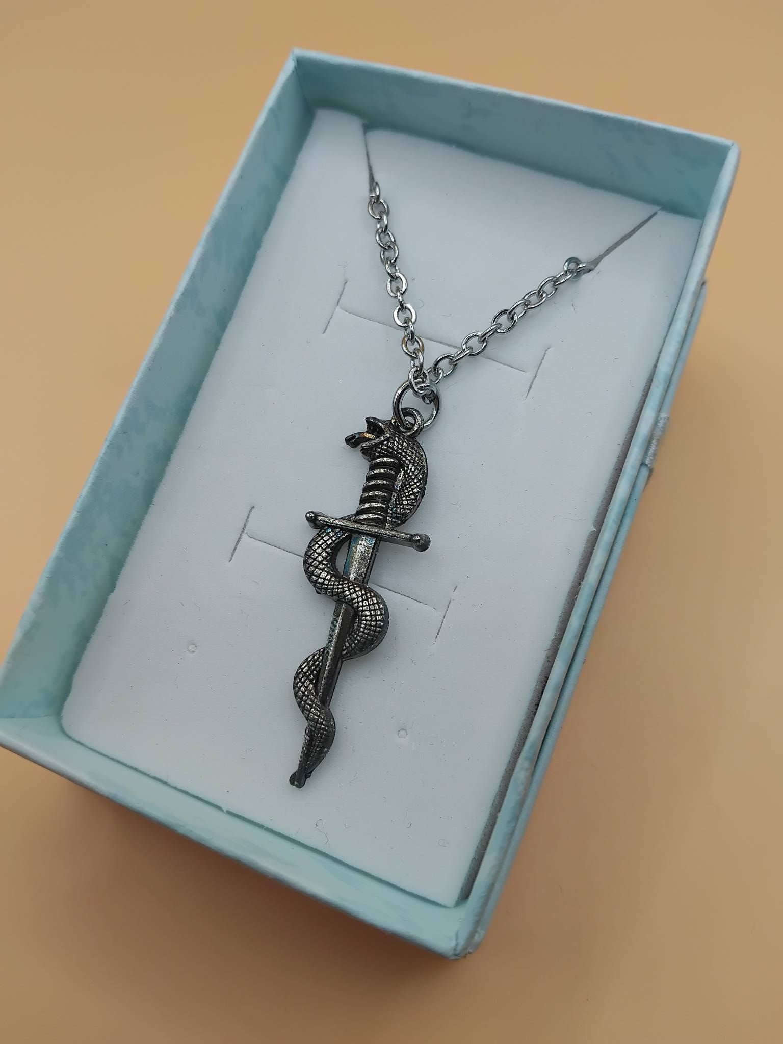 (BN6) Snake encircling sword pendant necklace