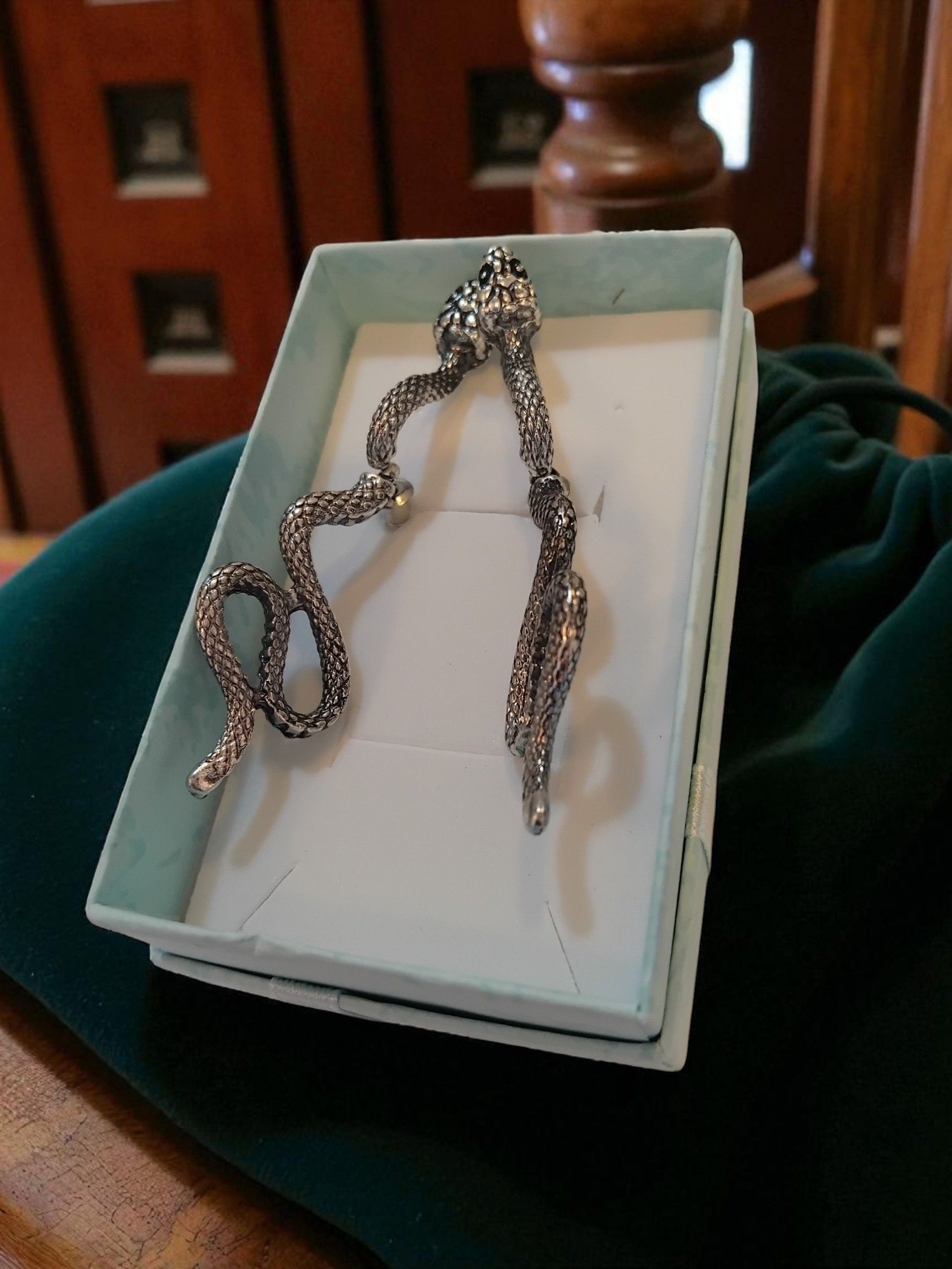 (E14) Through ear snake boxed Earrings