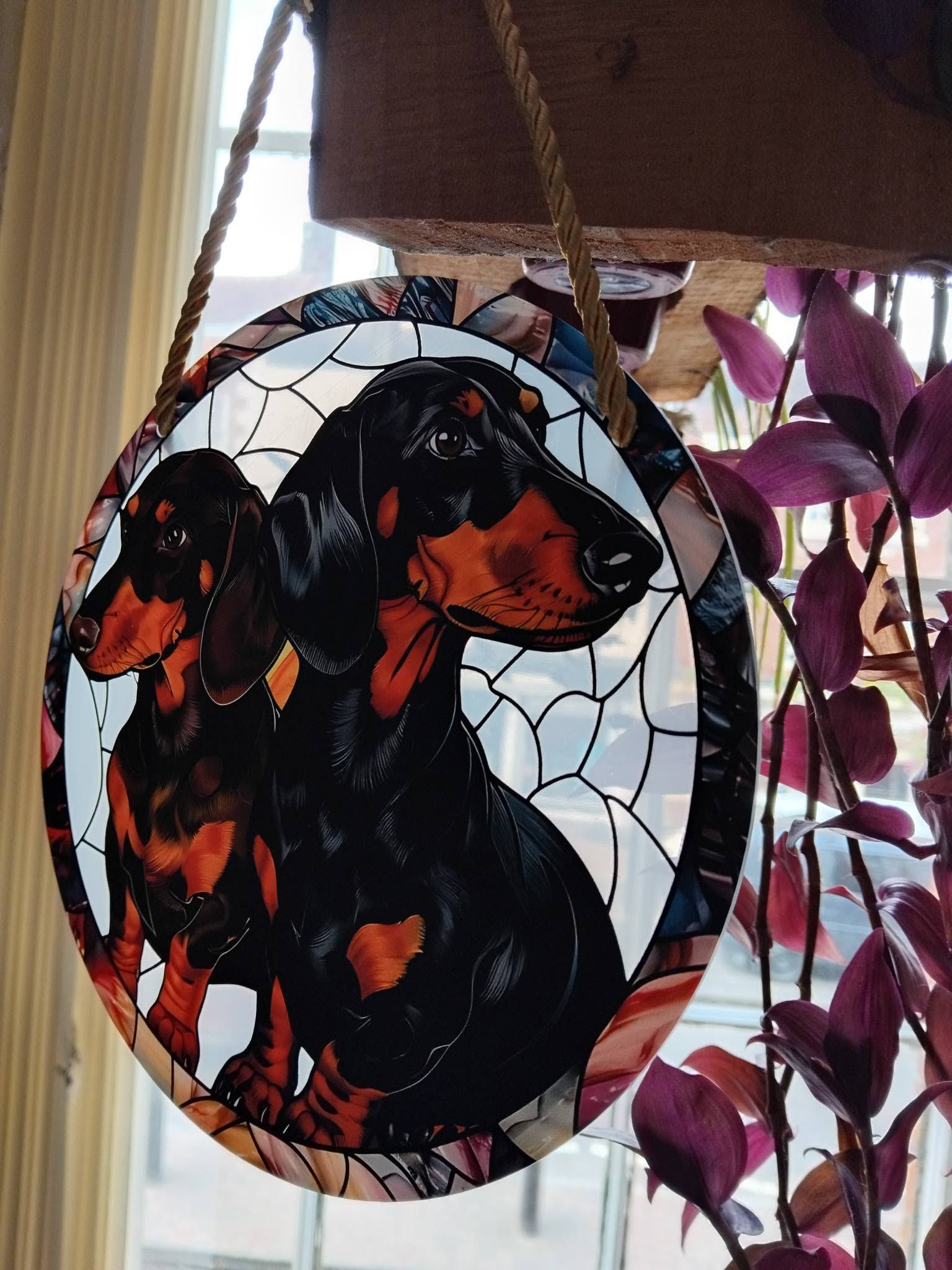 (Sc1) 2D Range of Sun Catchers