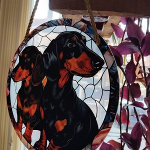 (Sc1) 2D Range of Sun Catchers