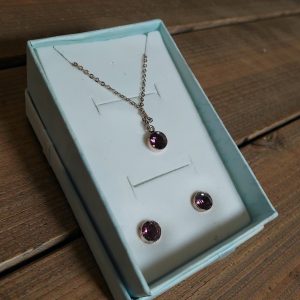 (B-E-52) Dorothy Perkins necklace and earrings