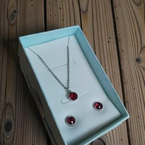 (B-E-53) Dorothy Perkins necklace and earrings